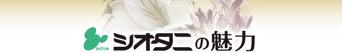 シオタニの魅力